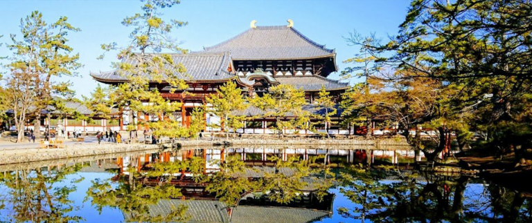 Best Hotels in Nara, Japan: Charming Inns Near the Deer Park
